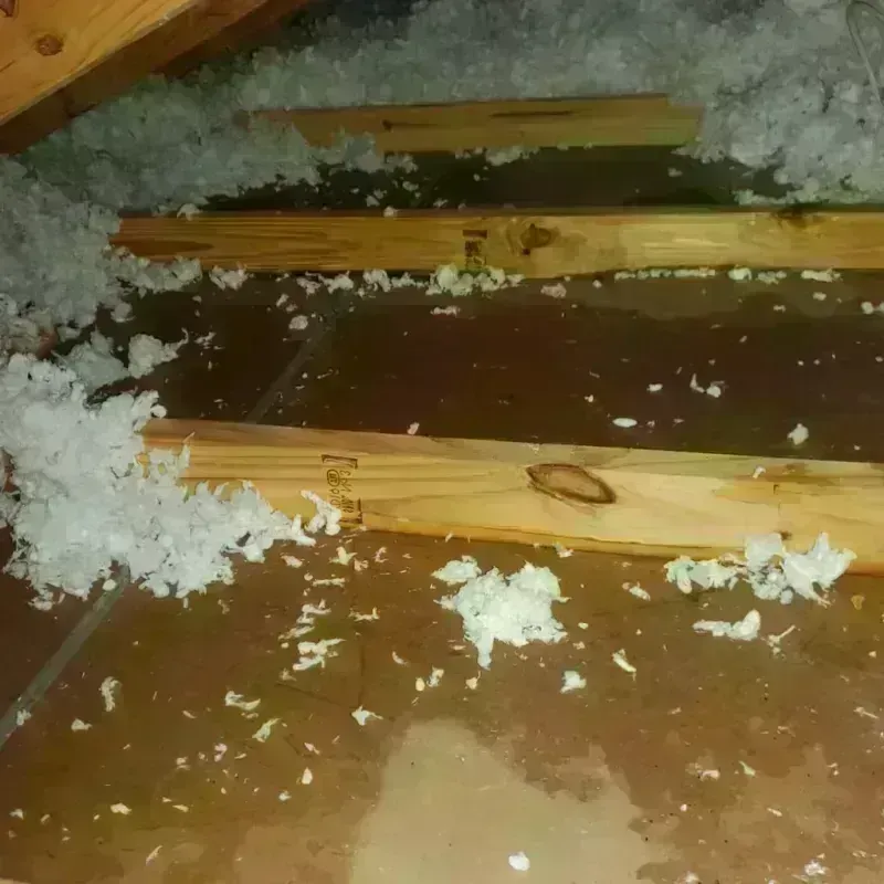 Attic Water Damage in Plum Grove, TX